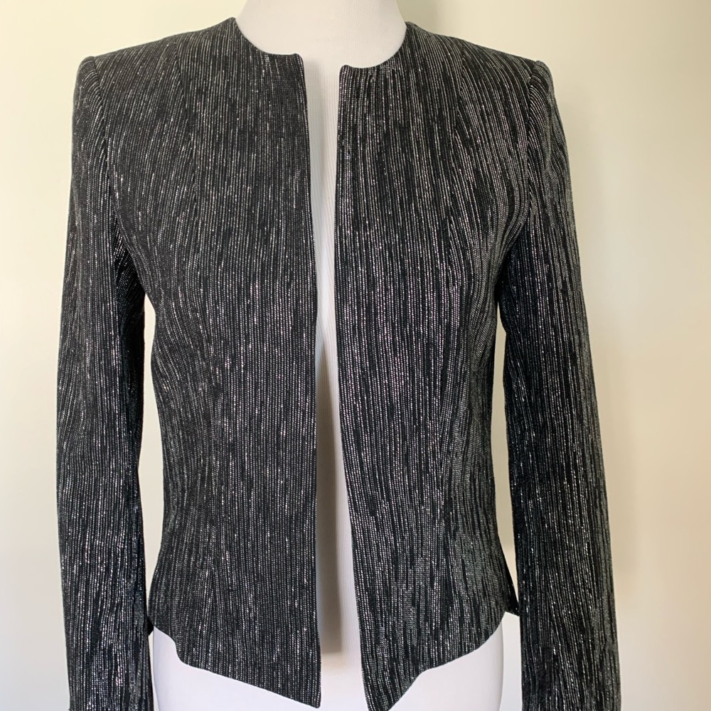 Black Jacket With Silvery Stripes